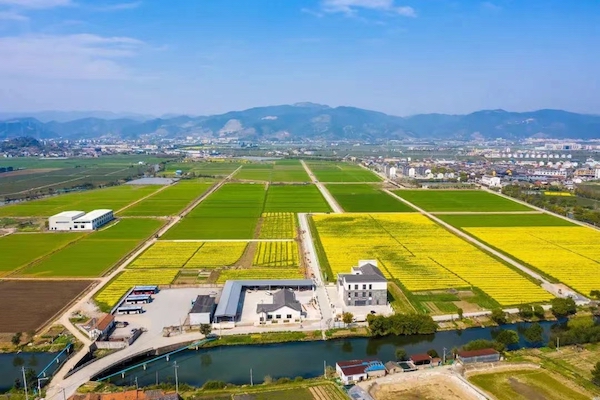 高標(biāo)準(zhǔn)農(nóng)田典型案例集錦丨“豐景”，在希望的田野