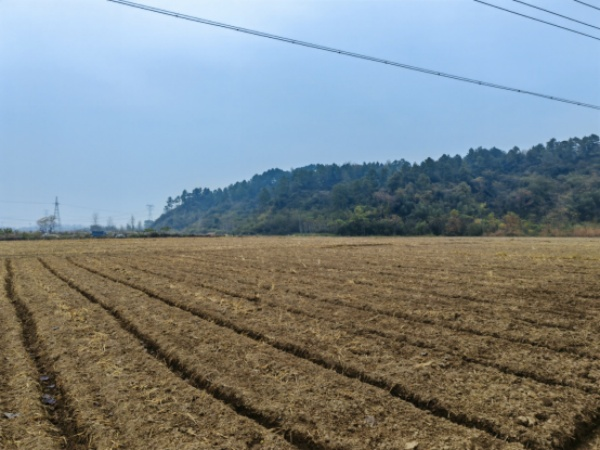 安徽涇縣: 推進(jìn)高標(biāo)準(zhǔn)農(nóng)田建設(shè) 為推動(dòng)實(shí)現(xiàn)鄉(xiāng)村振興注入生機(jī)與活力